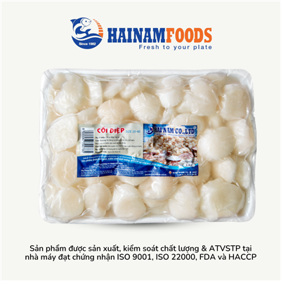 CỒI SÒ ĐIỆP CỠ ĐẠI 20-40 (1KG)