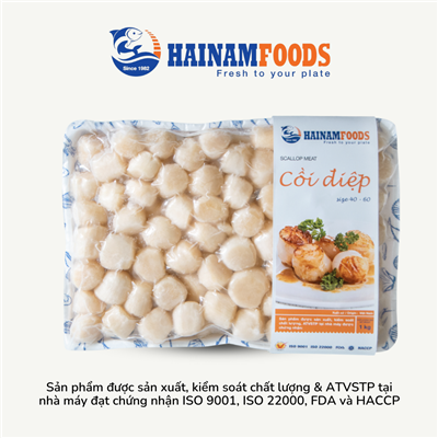 CỒI SÒ ĐIỆP CỠ LỚN 40-60 (1KG)