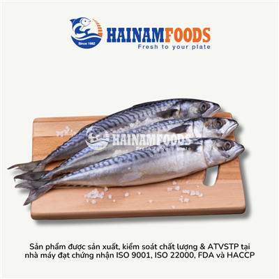 CÁ SABA NAUY NGUYÊN CON 1KG