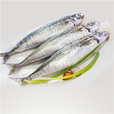 CÁ NỤC NGUYÊN CON LÀM SẠCH