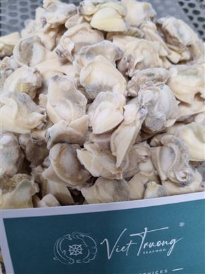 Thịt Ngao Đông Lạnh