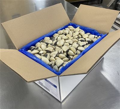 Ngao Trắng Đông Lạnh Nguyên Vỏ