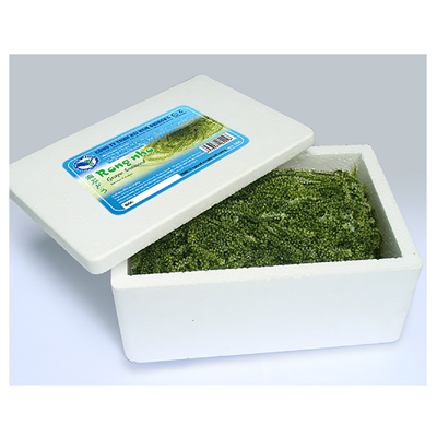 RONG NHO TƯƠI HẢI NAM OKINAWA 1KG