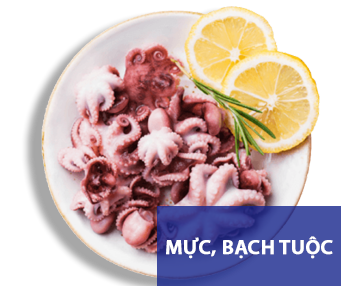Mực, bạch tuộc