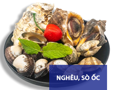 Nghêu, sò, ốc